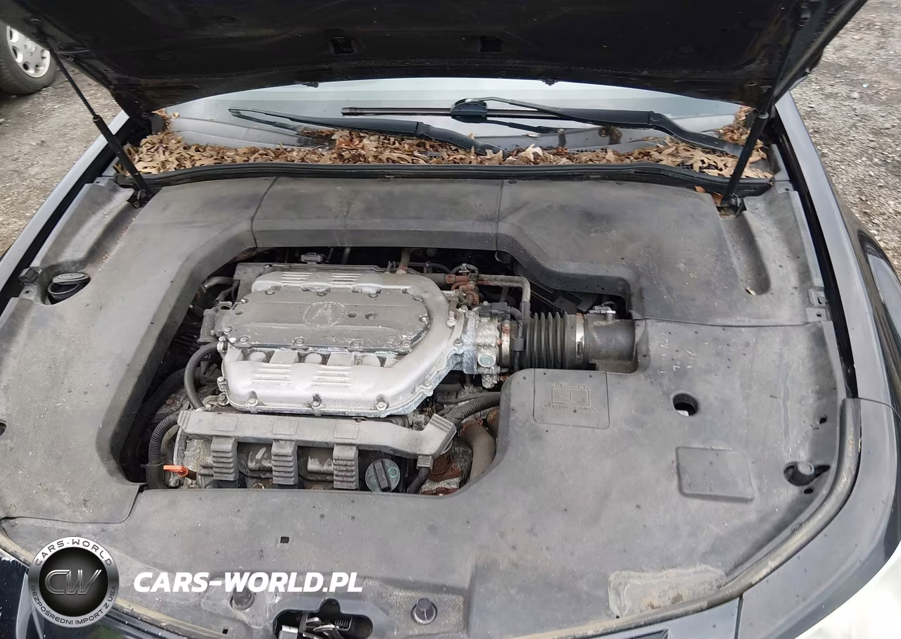 2009 Acura Tl 3.5 VIN:19UUA86509A010715 - 10