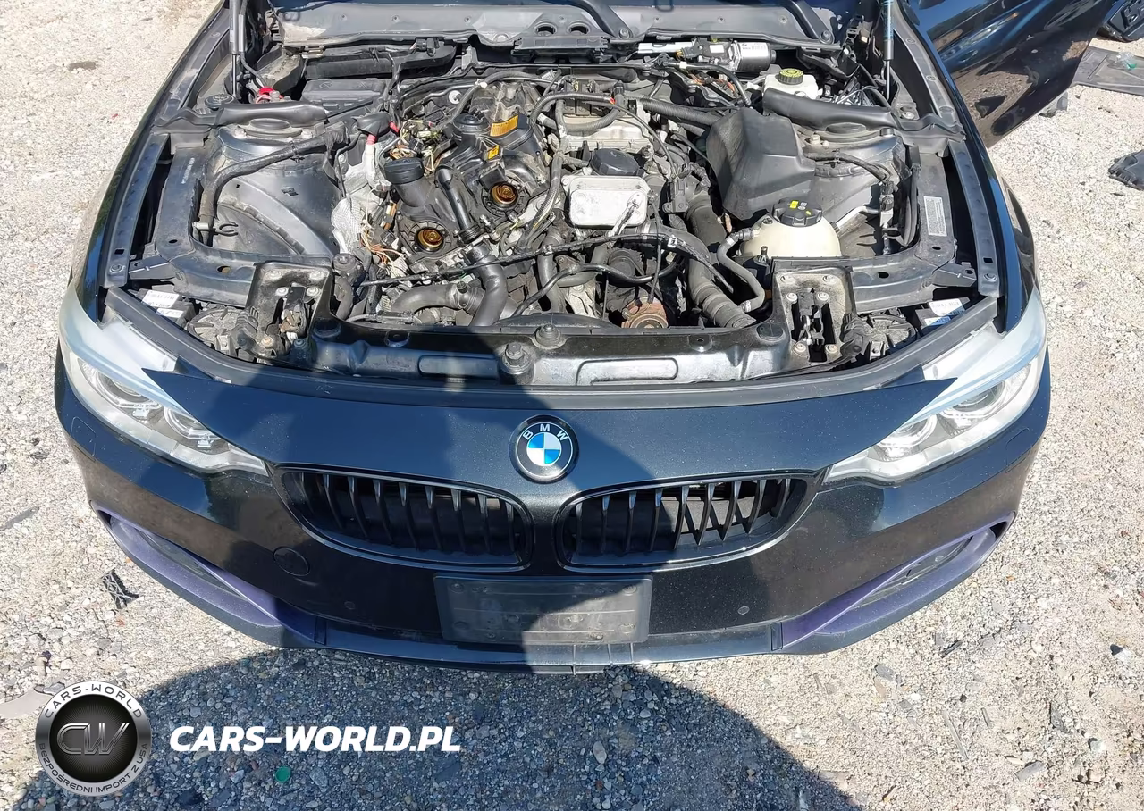 2014 BMW 428I xDrive VIN:WBA3N9C52EK245725 - 10