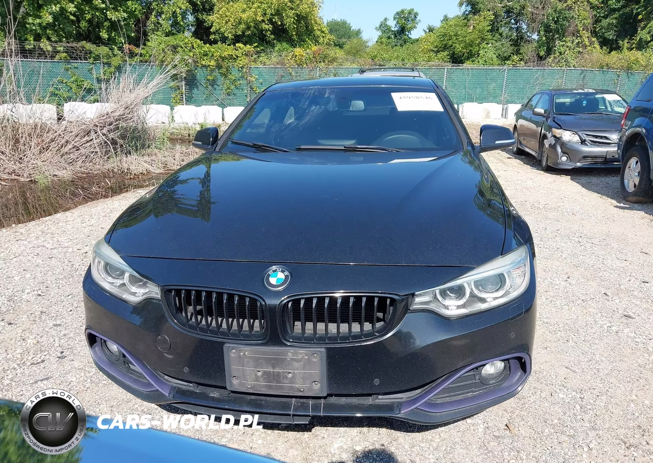 2014 BMW 428I xDrive VIN:WBA3N9C52EK245725 - 13