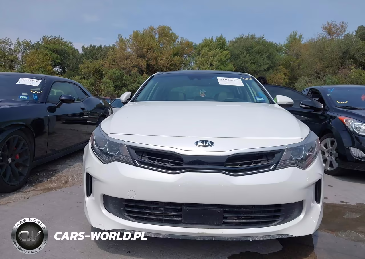 2017 Kia Optima Hybrid Ex VIN:KNAGU4LE0H5010959 - 12