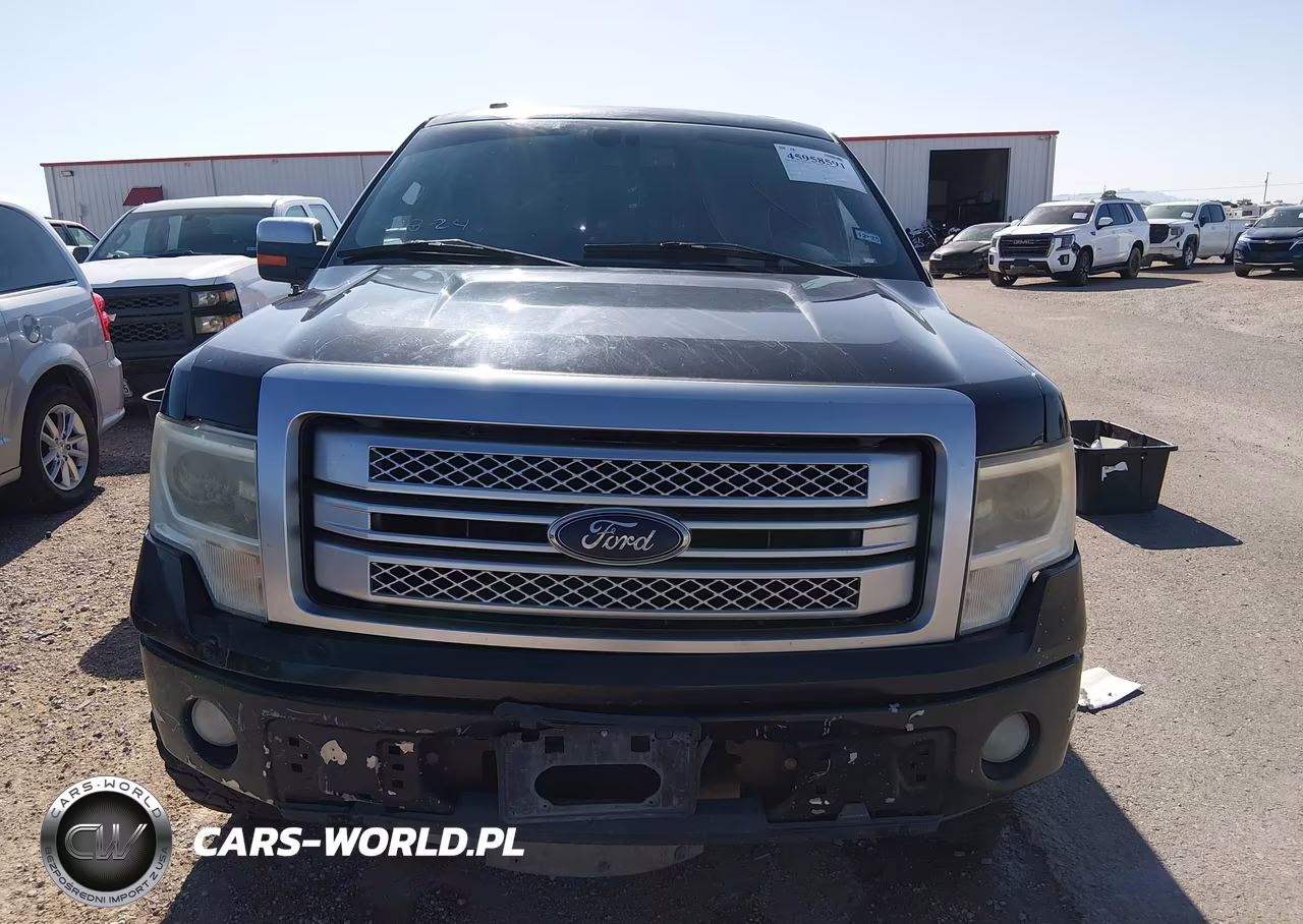 2013 Ford F-150 Platinum VIN:1FTFW1CF3DFD17661 - 12