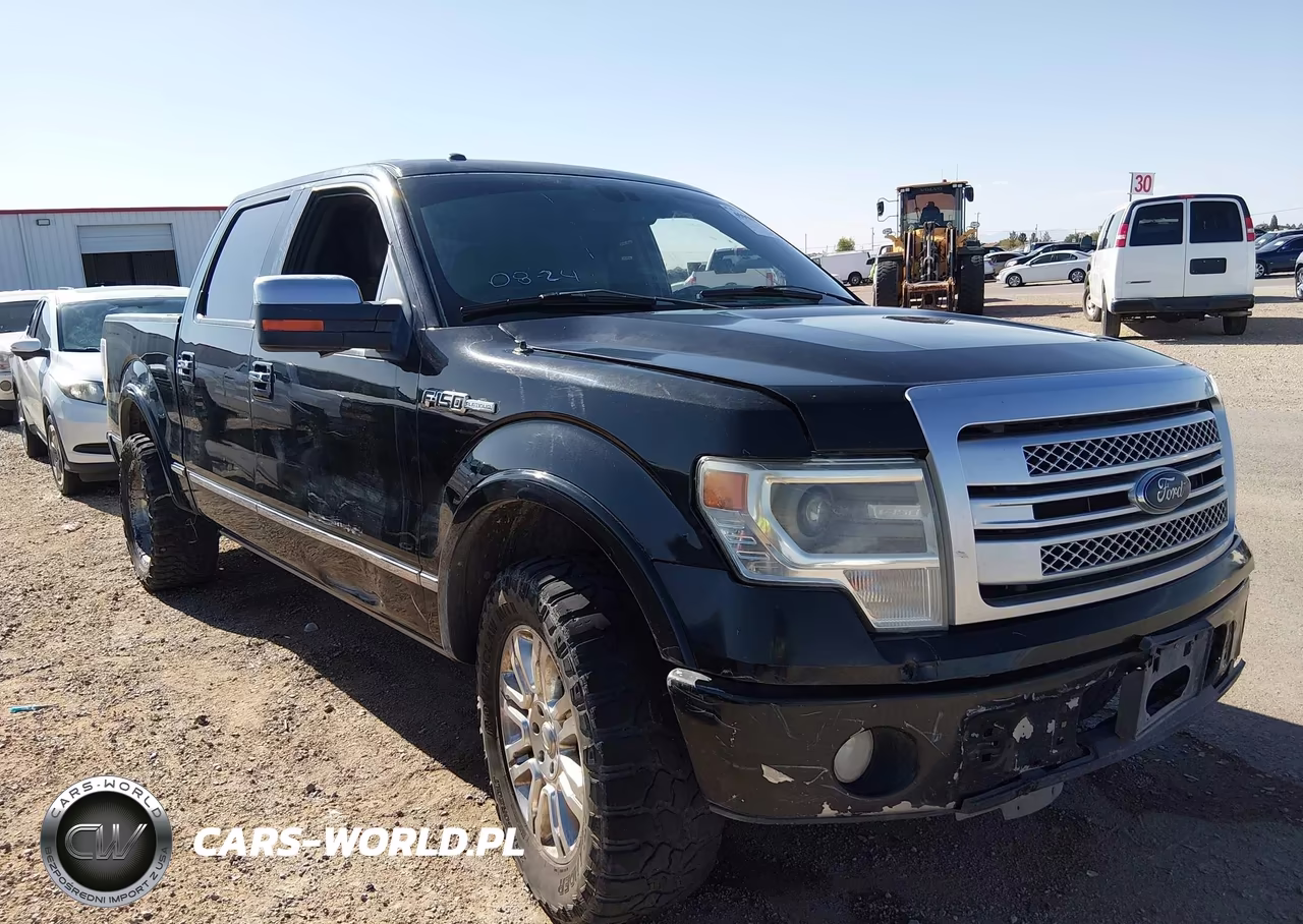 2013 Ford F-150 Platinum VIN:1FTFW1CF3DFD17661 - 13