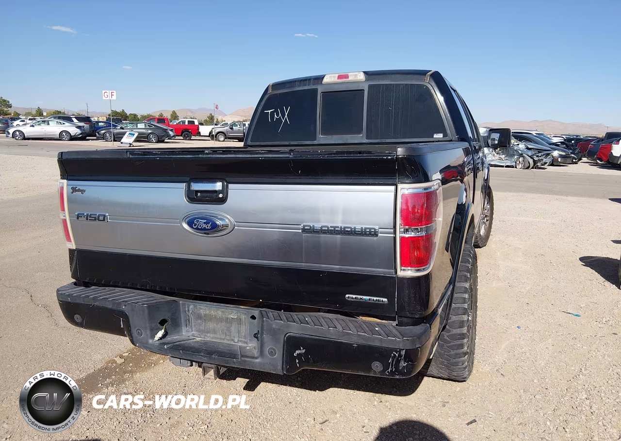 2013 Ford F-150 Platinum VIN:1FTFW1CF3DFD17661 - 16