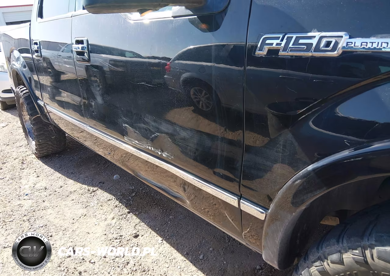 2013 Ford F-150 Platinum VIN:1FTFW1CF3DFD17661 - 17