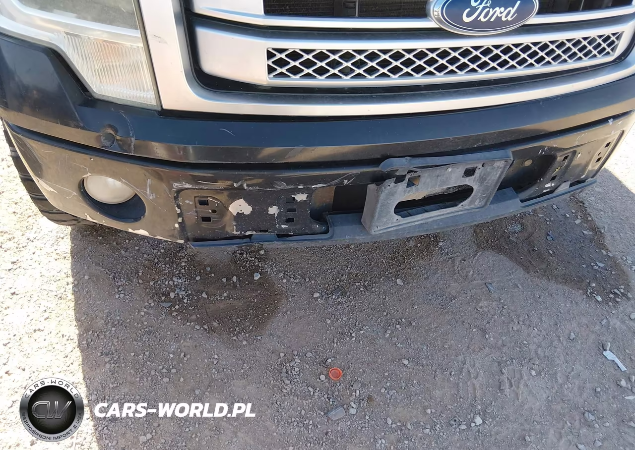 2013 Ford F-150 Platinum VIN:1FTFW1CF3DFD17661 - 18
