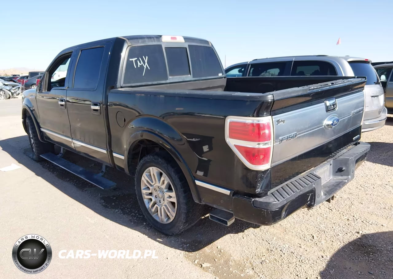 2013 Ford F-150 Platinum VIN:1FTFW1CF3DFD17661 - 3