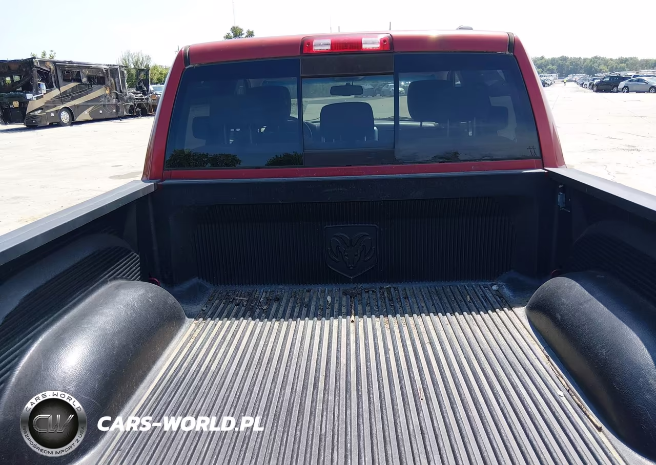 2010 Dodge Ram 1500 Slt-Sport-Trx VIN:1D7RV1CT6AS205533 - 17