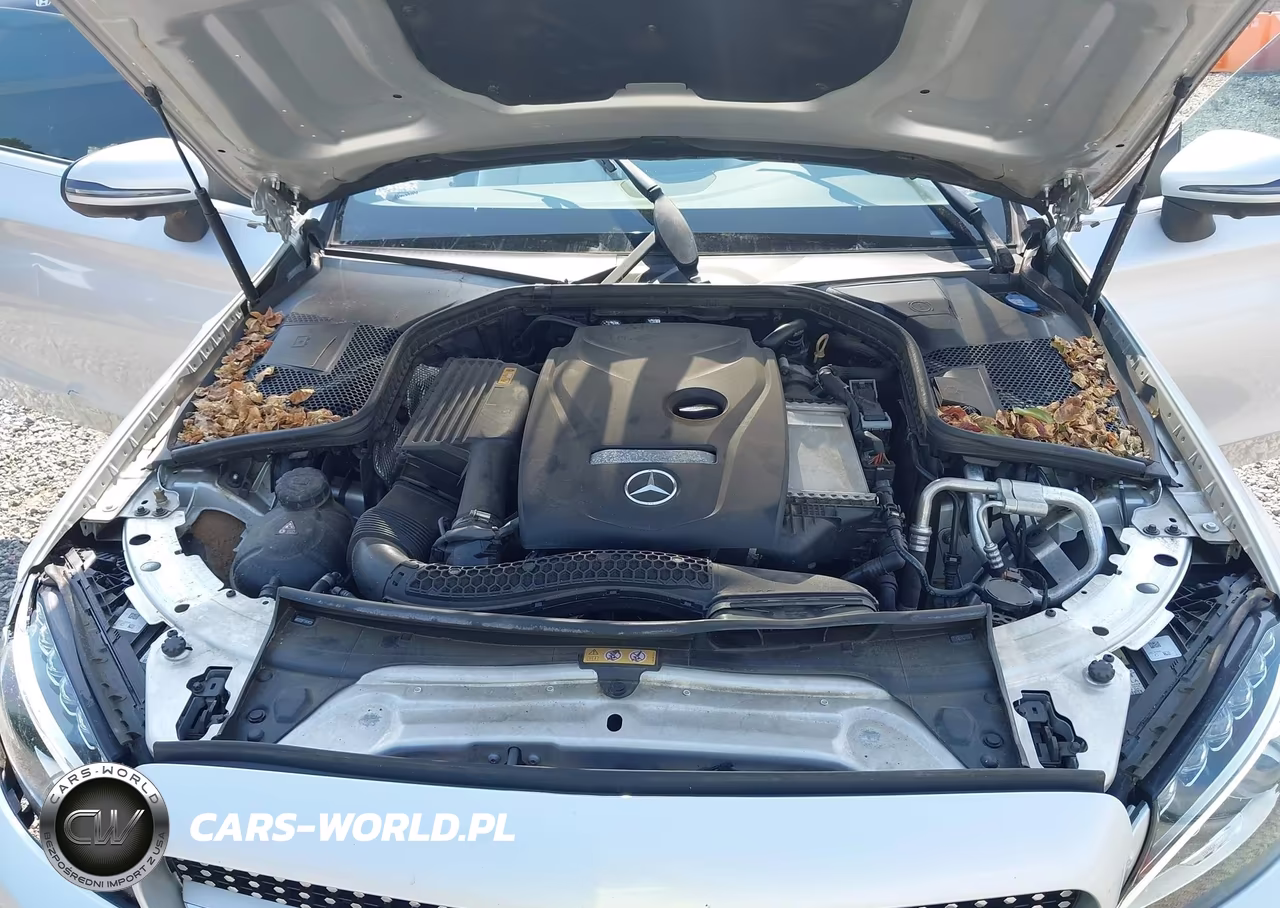 2018 Mercedes-Benz C 300 VIN:WDDWK4JB9JF760895 - 10