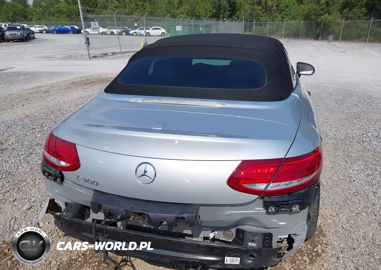 2018 Mercedes-Benz C 300 VIN:WDDWK4JB9JF760895 - 17
