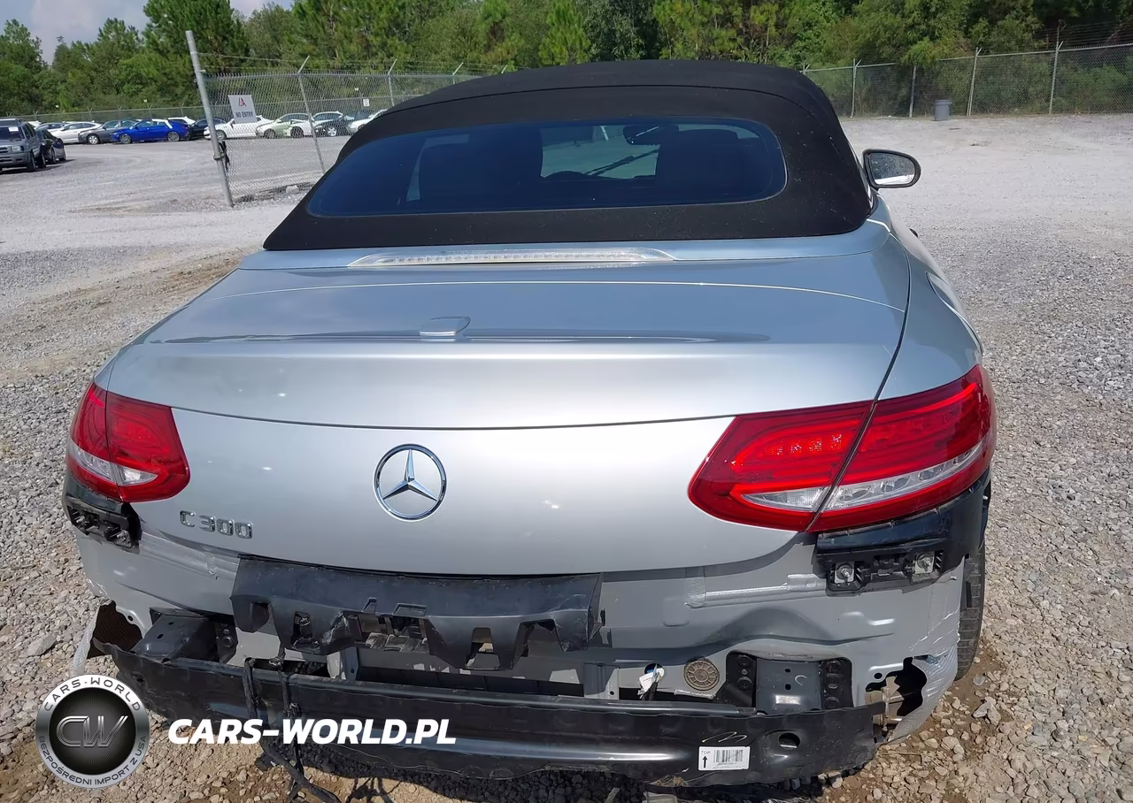 2018 Mercedes-Benz C 300 VIN:WDDWK4JB9JF760895 - 6