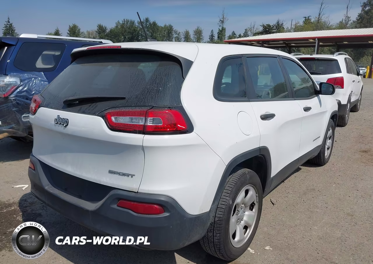 2016 Jeep Cherokee Sport VIN:1C4PJLAB9GW166991 - 4