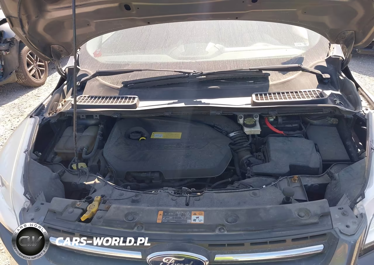 2014 Ford Escape Se VIN:1FMCU0GX1EUB06800 - 10