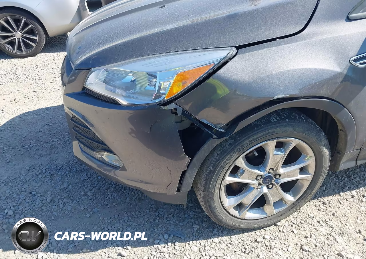 2014 Ford Escape Se VIN:1FMCU0GX1EUB06800 - 6