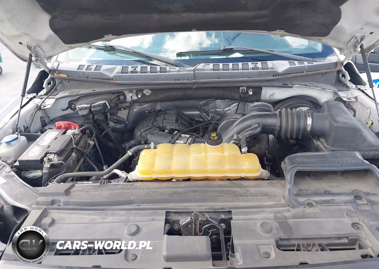 2016 Ford F-150 Xl VIN:1FTEX1C8XGFA83016 - 10