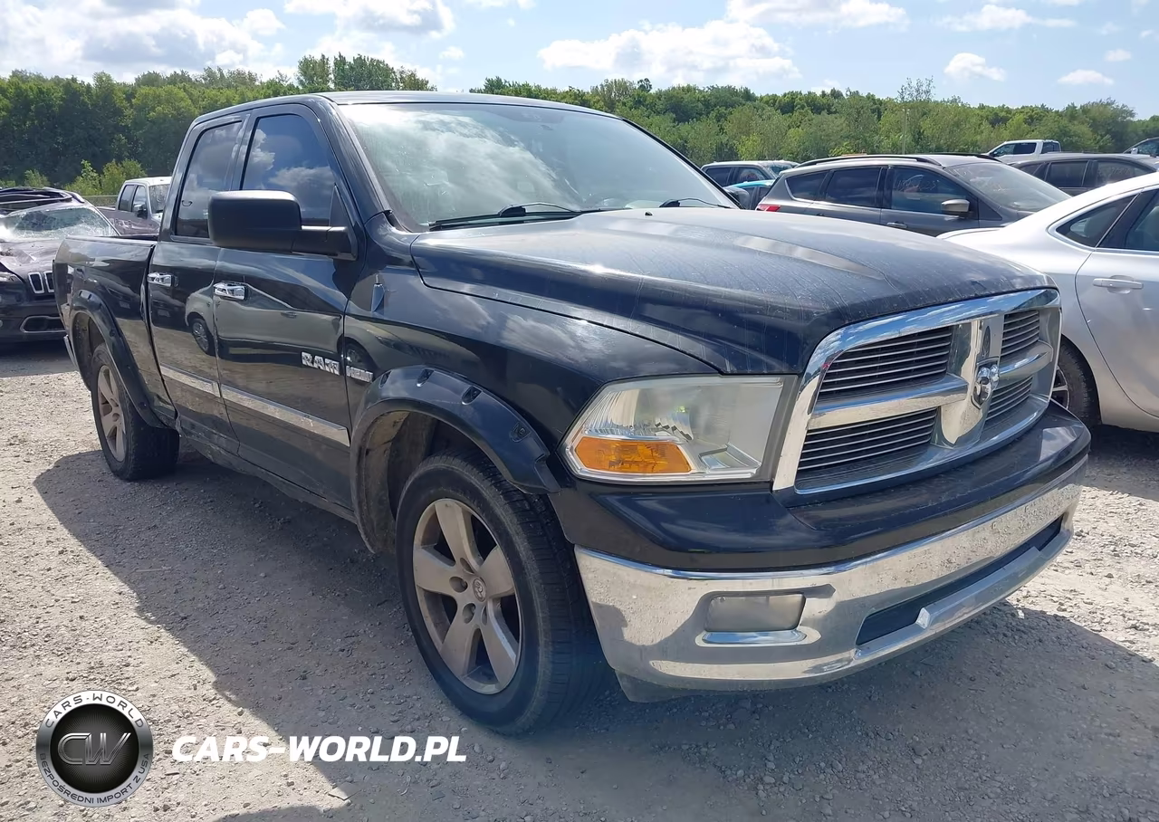 2010 Dodge Ram 1500 Slt-Sport-Trx VIN:1D7RV1GT3AS114312 - 1