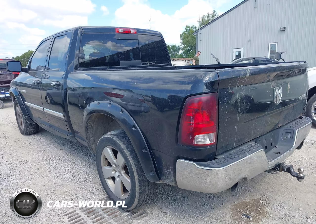 2010 Dodge Ram 1500 Slt-Sport-Trx VIN:1D7RV1GT3AS114312 - 3