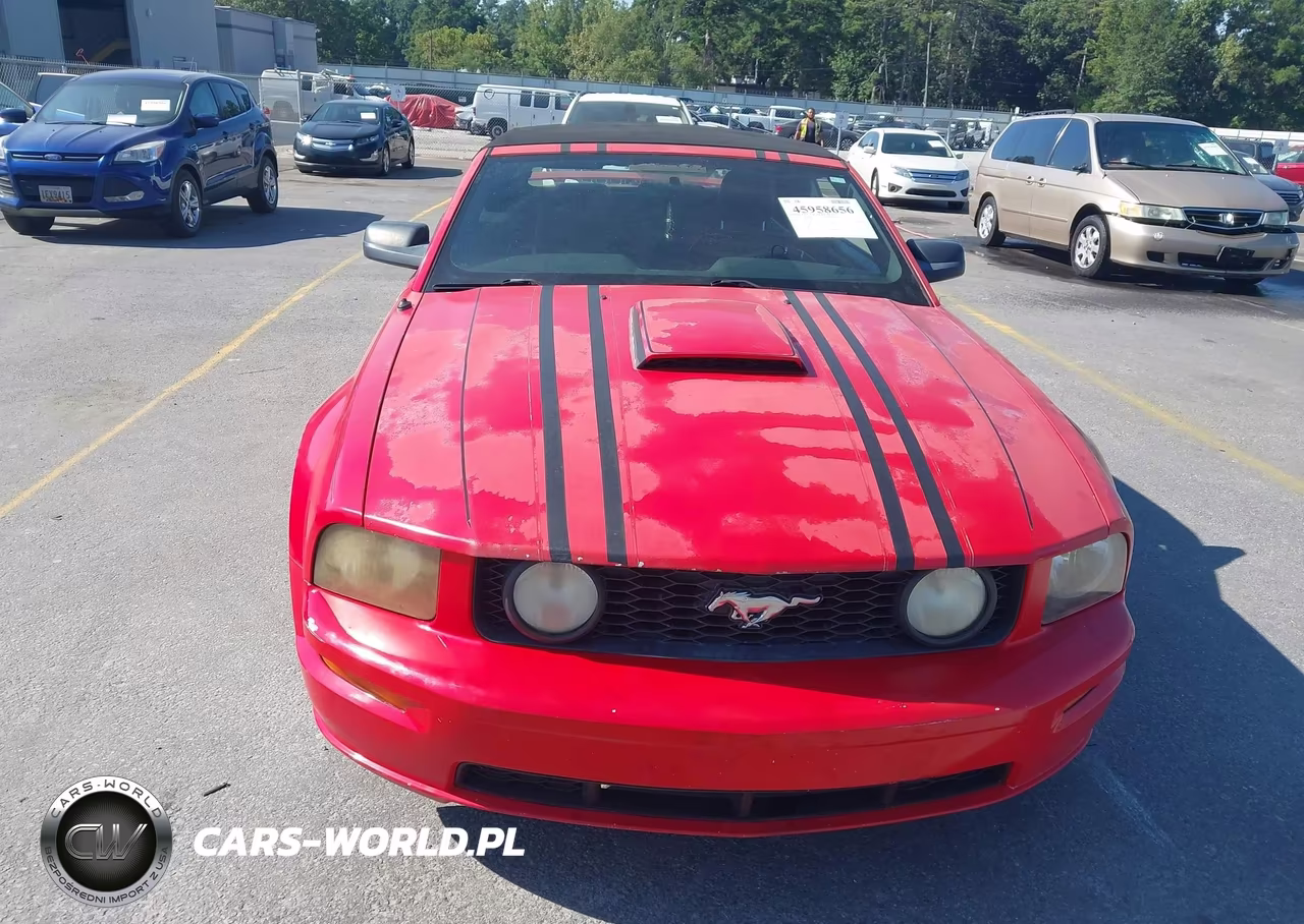 2007 Ford Mustang Gt Deluxe-Gt Premium VIN:1ZVHT85H775328873 - 12