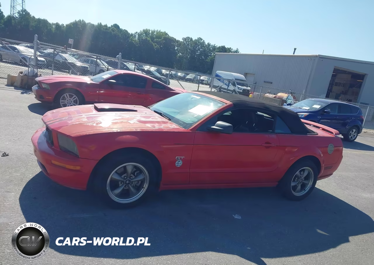 2007 Ford Mustang Gt Deluxe-Gt Premium VIN:1ZVHT85H775328873 - 14