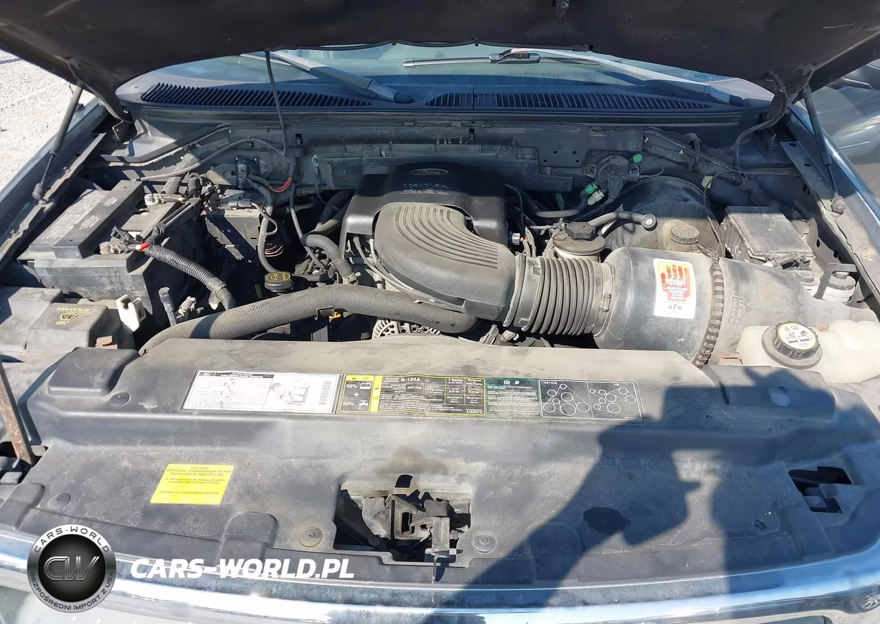2002 Ford F150 VIN:1FTRX17W82NA19615 - 10