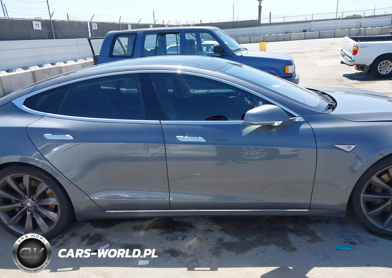 2013 Tesla Model S Performance VIN:5YJSA1DP3DFP13582 - 13