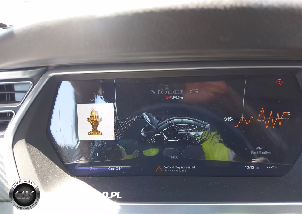 2013 Tesla Model S Performance VIN:5YJSA1DP3DFP13582 - 7