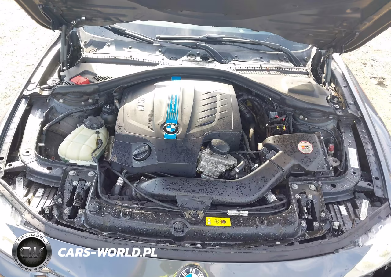 2013 BMW Activehybrid 3 VIN:WBA3F9C56DF145261 - 10