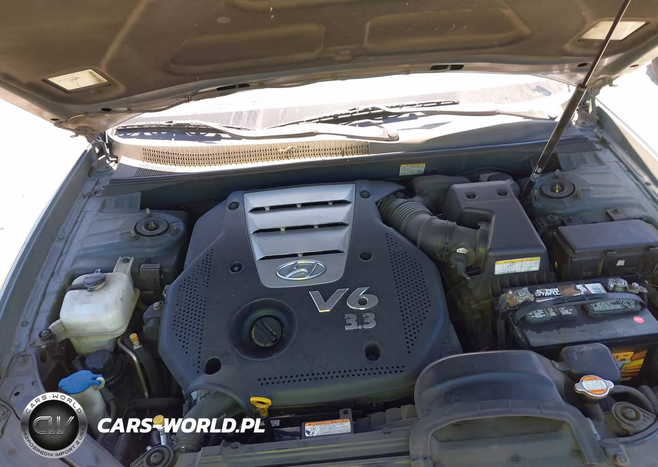 2006 Hyundai Sonata Gls V6-Lx V6 VIN:5NPEU46F56H045363 - 10