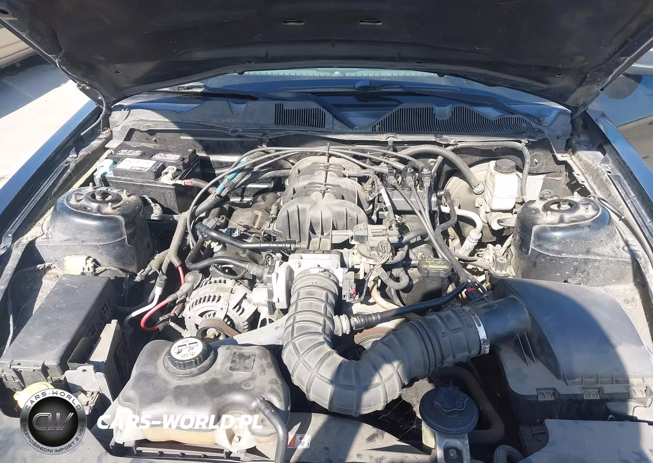 2010 Ford Mustang V6-V6 Premium VIN:1ZVBP8AN9A5129546 - 10