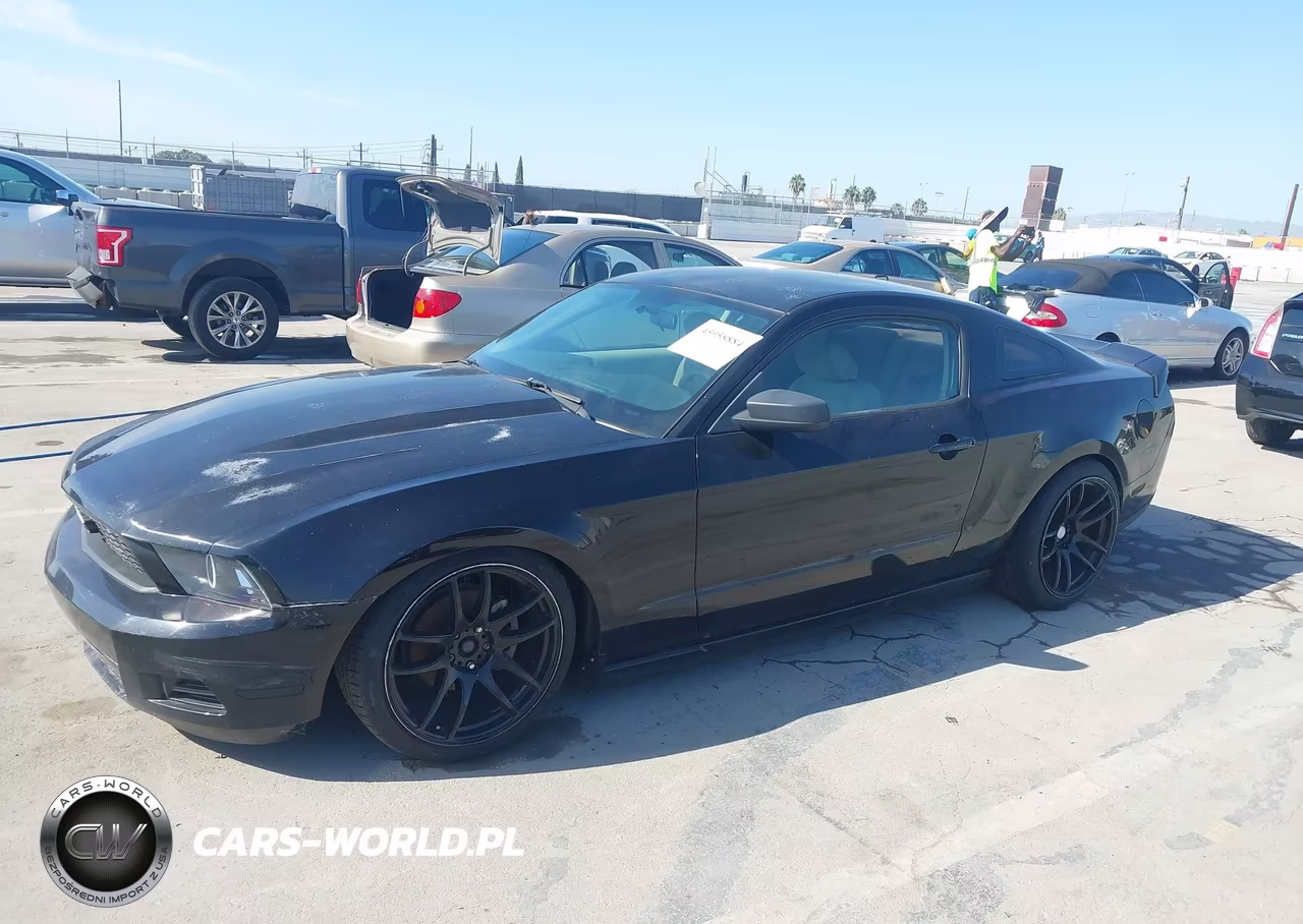 2010 Ford Mustang V6-V6 Premium VIN:1ZVBP8AN9A5129546 - 2