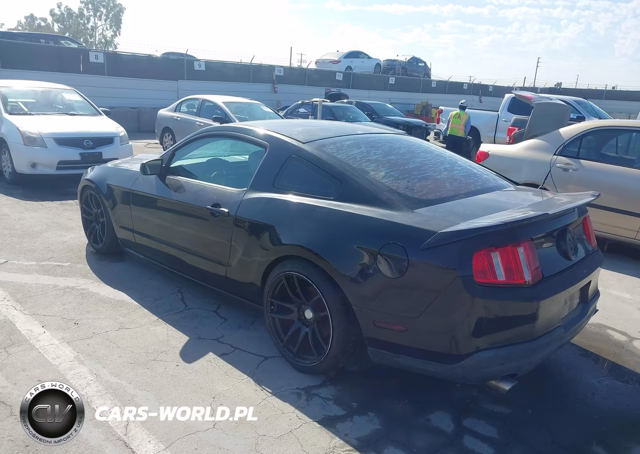 2010 Ford Mustang V6-V6 Premium VIN:1ZVBP8AN9A5129546 - 3