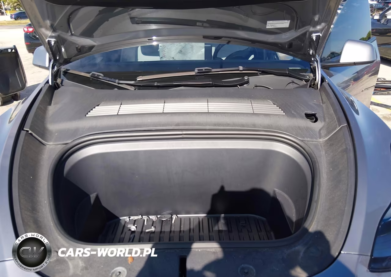 2025 Tesla Model Y Long Range Dual Motor All-Wheel Drive VIN:7SAYGDEE5SA361304 - 10