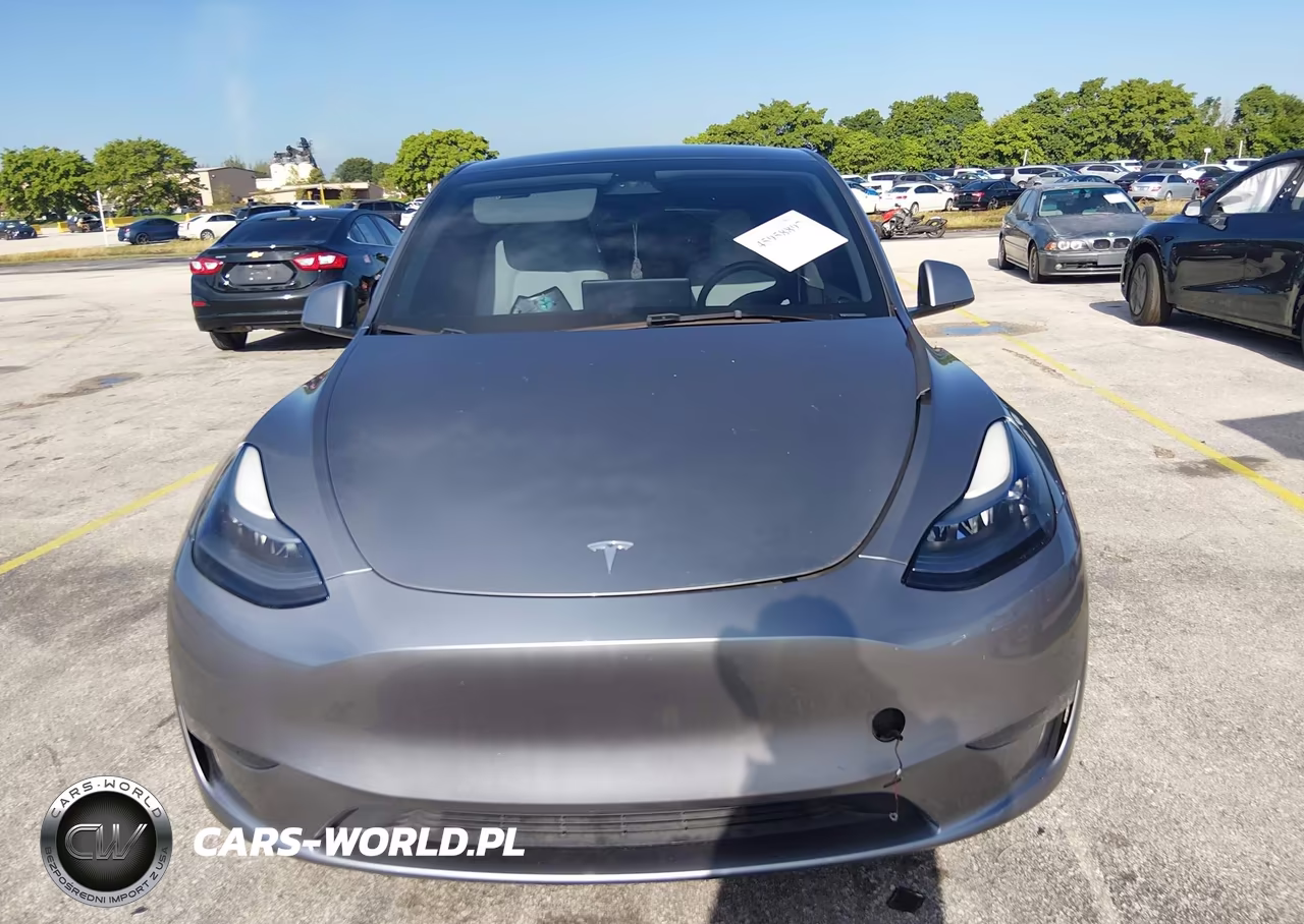 2025 Tesla Model Y Long Range Dual Motor All-Wheel Drive VIN:7SAYGDEE5SA361304 - 12