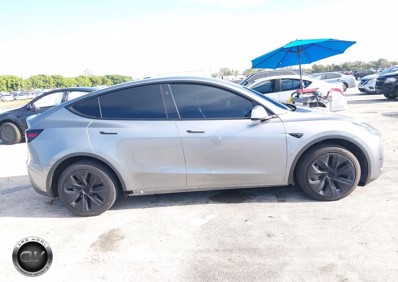 2025 Tesla Model Y Long Range Dual Motor All-Wheel Drive VIN:7SAYGDEE5SA361304 - 13