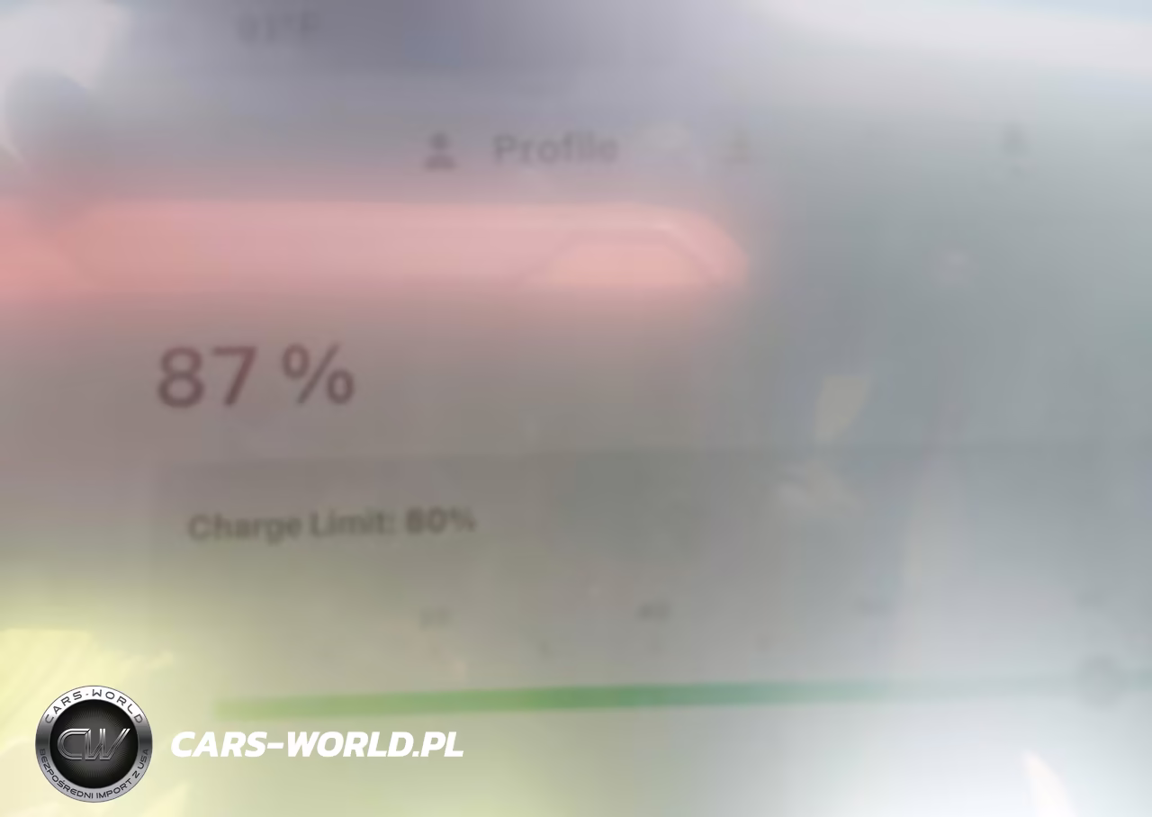 2025 Tesla Model Y Long Range Dual Motor All-Wheel Drive VIN:7SAYGDEE5SA361304 - 17
