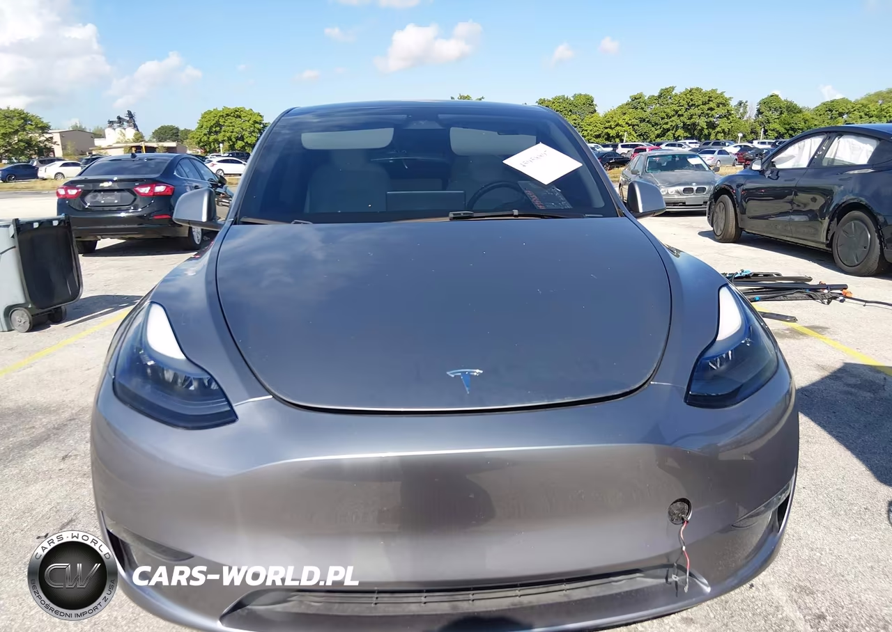 2025 Tesla Model Y Long Range Dual Motor All-Wheel Drive VIN:7SAYGDEE5SA361304 - 6