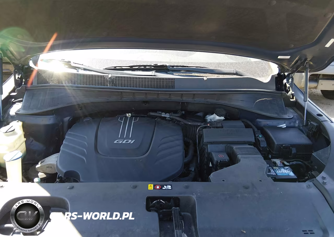 2017 Kia Sorento 3.3L Lx VIN:5XYPGDA56HG276779 - 10