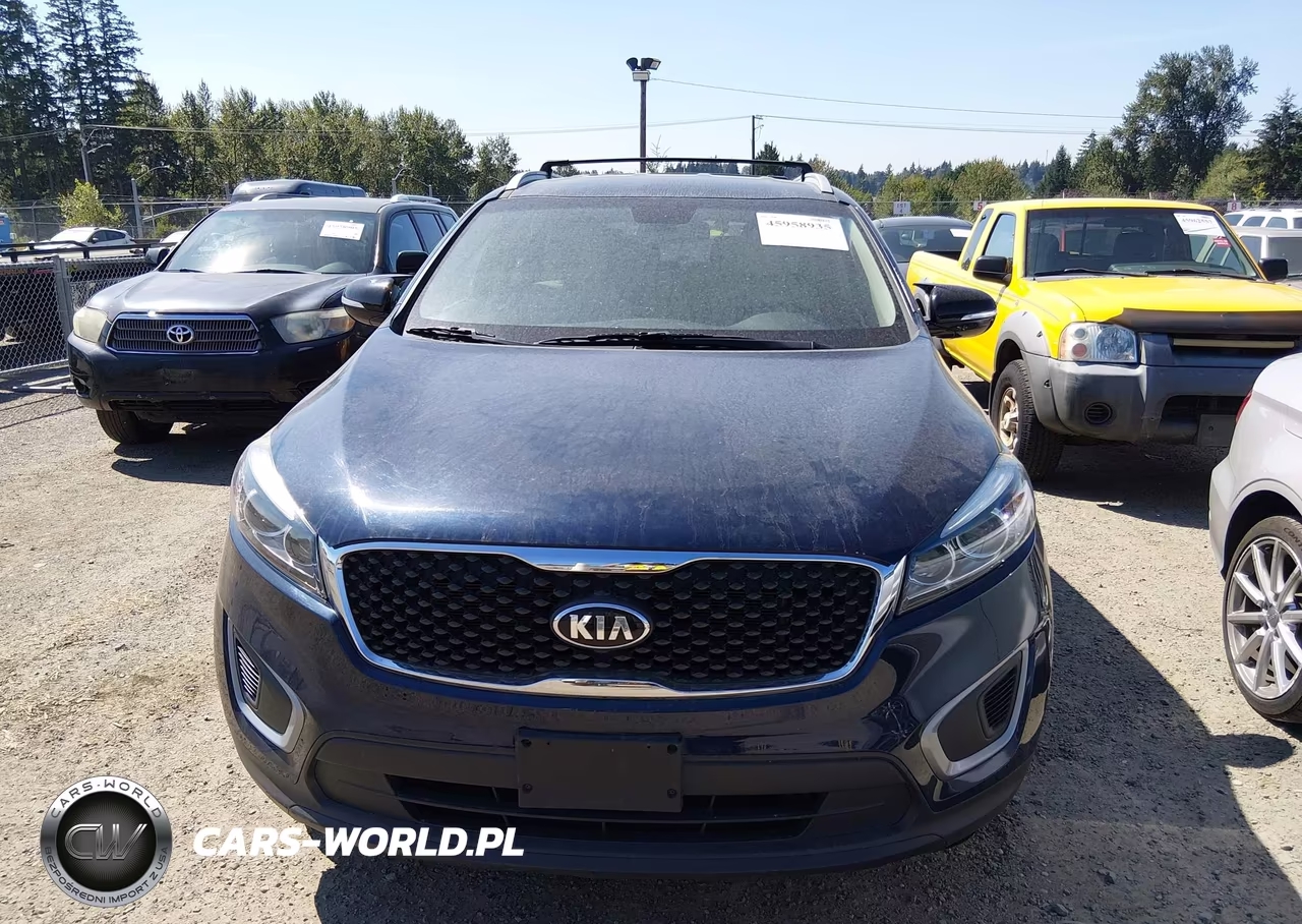 2017 Kia Sorento 3.3L Lx VIN:5XYPGDA56HG276779 - 12