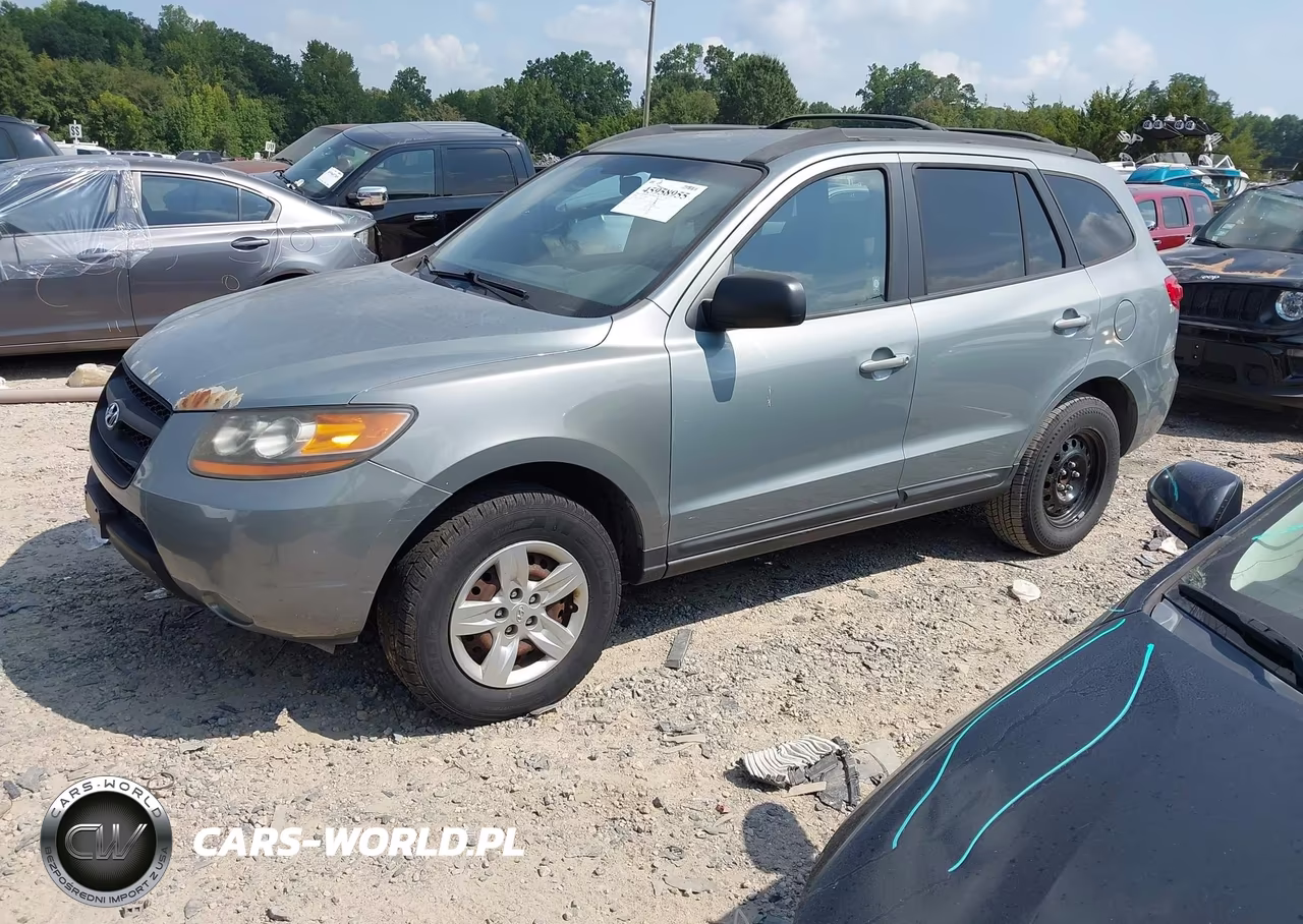 2009 Hyundai Santa Fe Gls VIN:5NMSG13D79H297631 - 2