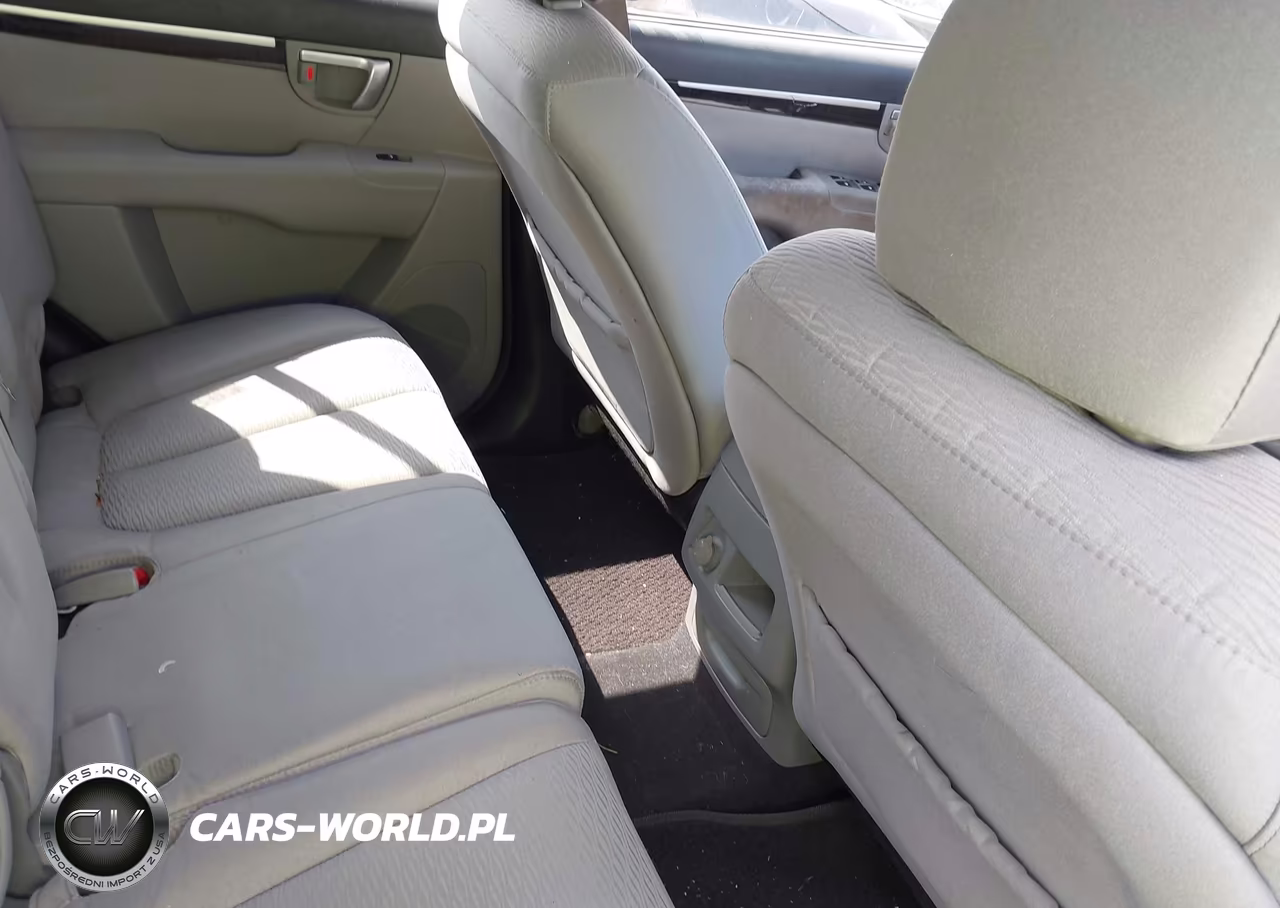 2009 Hyundai Santa Fe Gls VIN:5NMSG13D79H297631 - 8