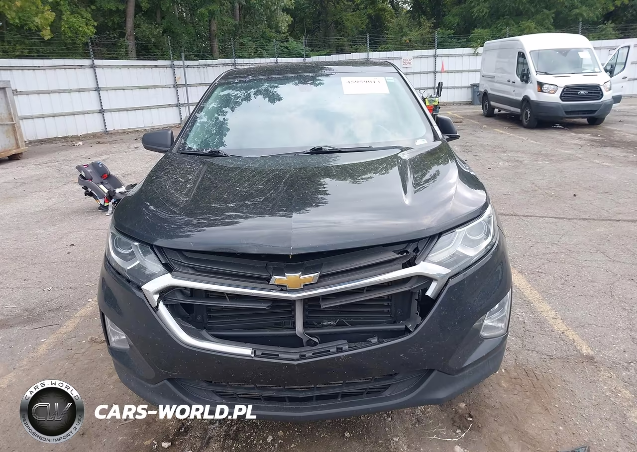 2019 Chevrolet Equinox Ls VIN:2GNAXSEV3K6105956 - 12