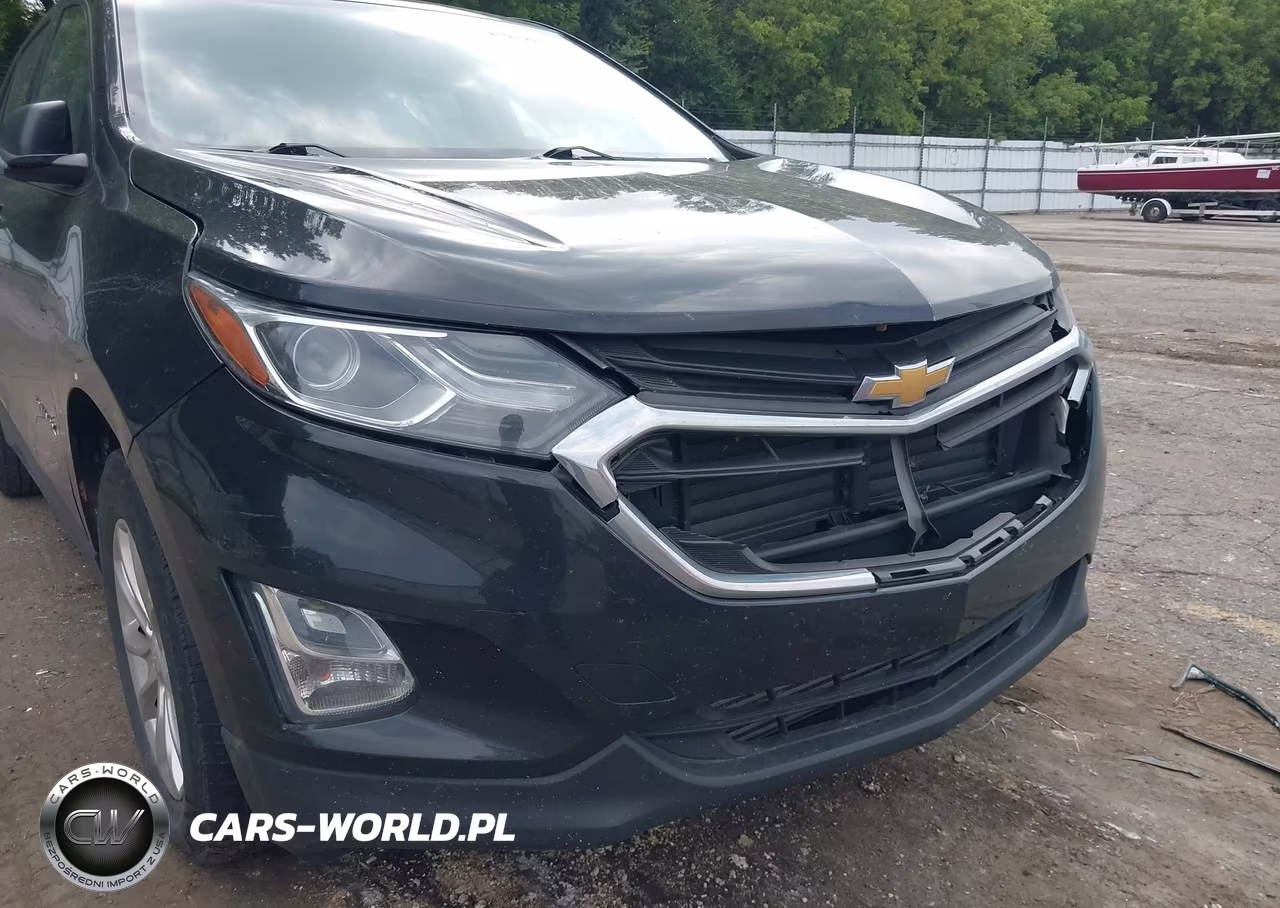 2019 Chevrolet Equinox Ls VIN:2GNAXSEV3K6105956 - 17