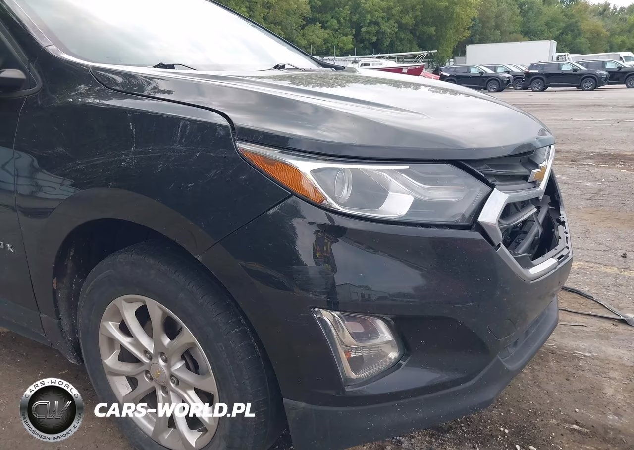 2019 Chevrolet Equinox Ls VIN:2GNAXSEV3K6105956 - 18