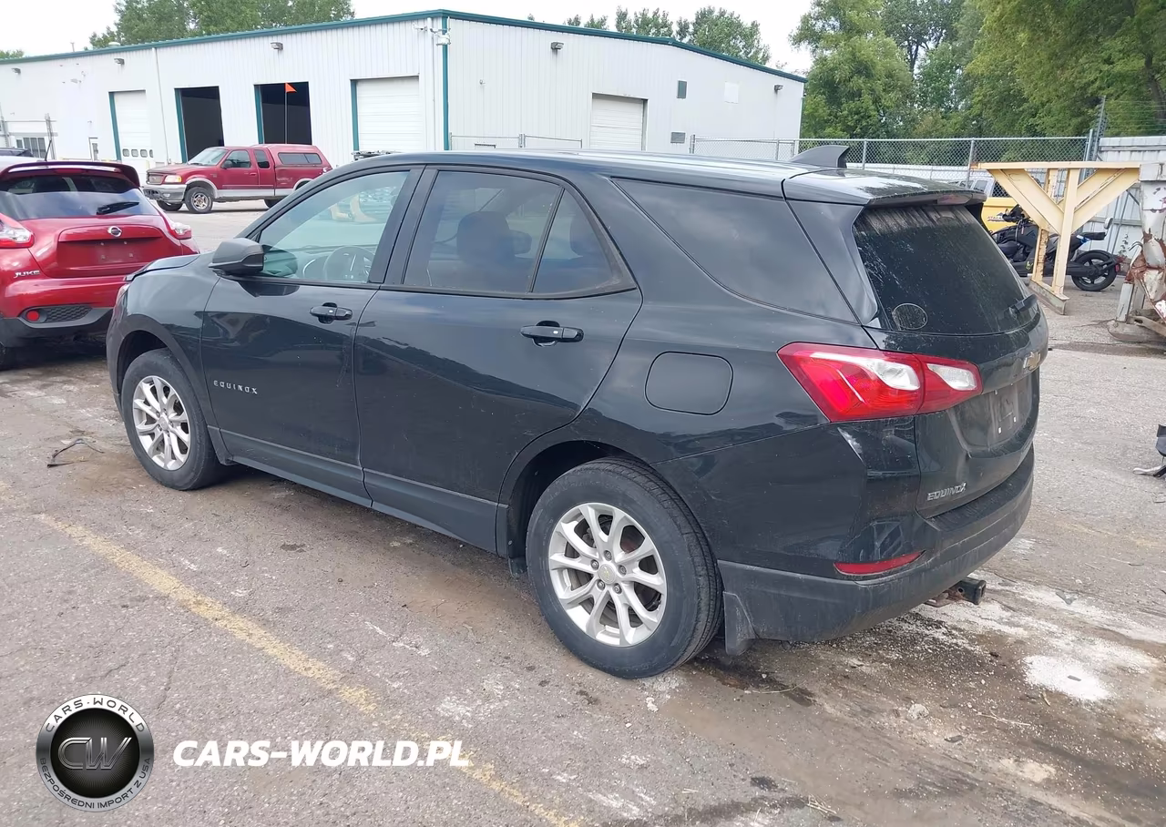 2019 Chevrolet Equinox Ls VIN:2GNAXSEV3K6105956 - 3