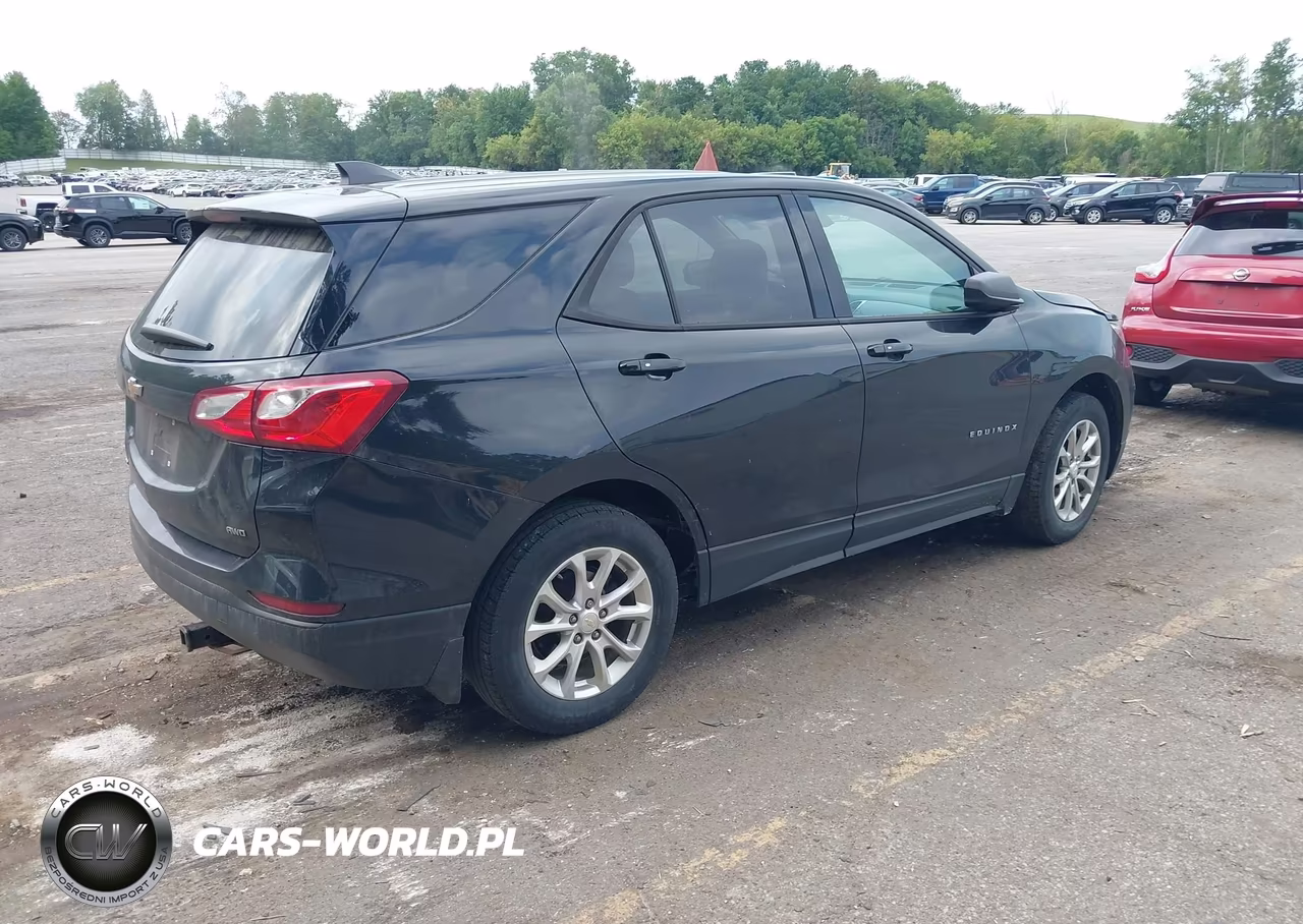 2019 Chevrolet Equinox Ls VIN:2GNAXSEV3K6105956 - 4