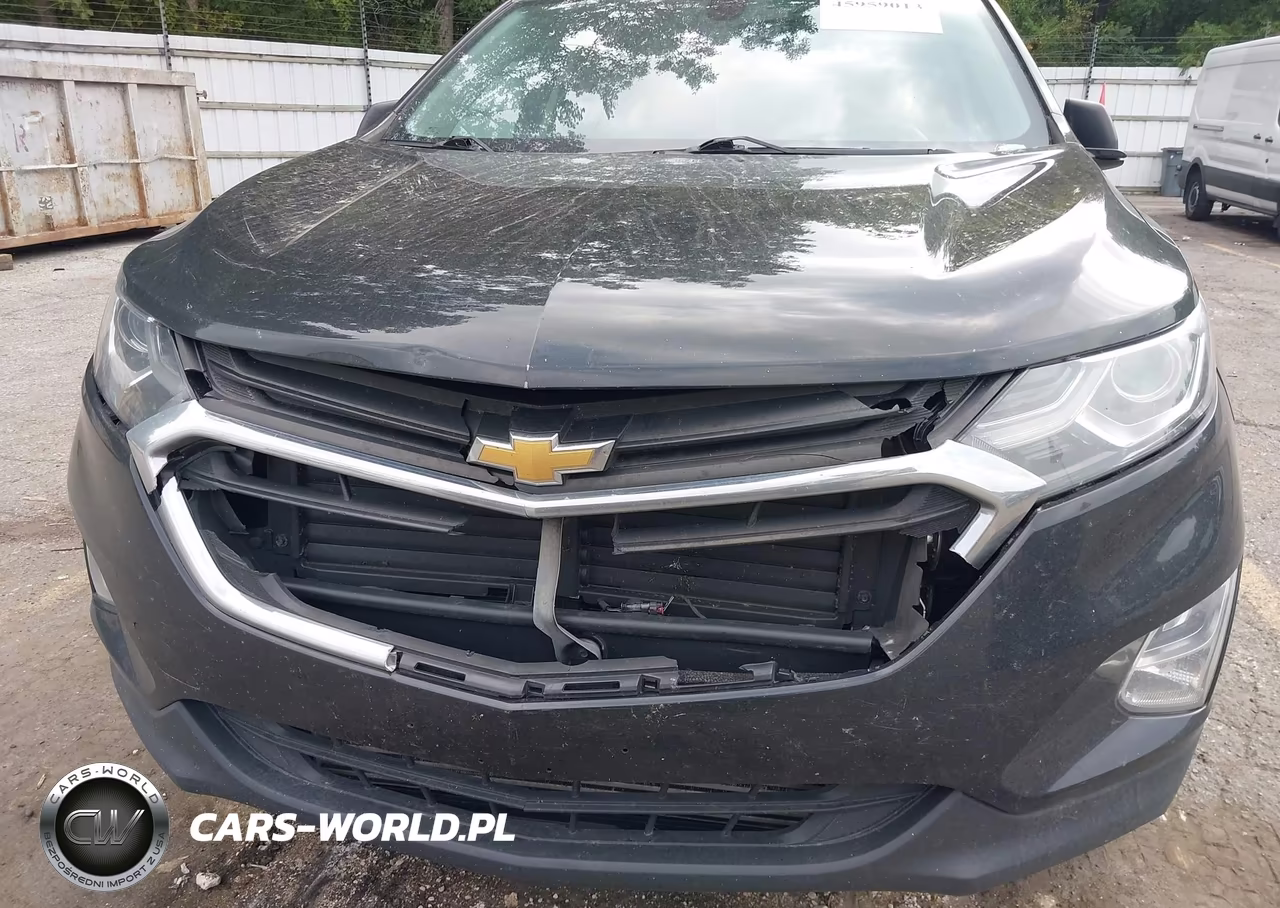 2019 Chevrolet Equinox Ls VIN:2GNAXSEV3K6105956 - 6