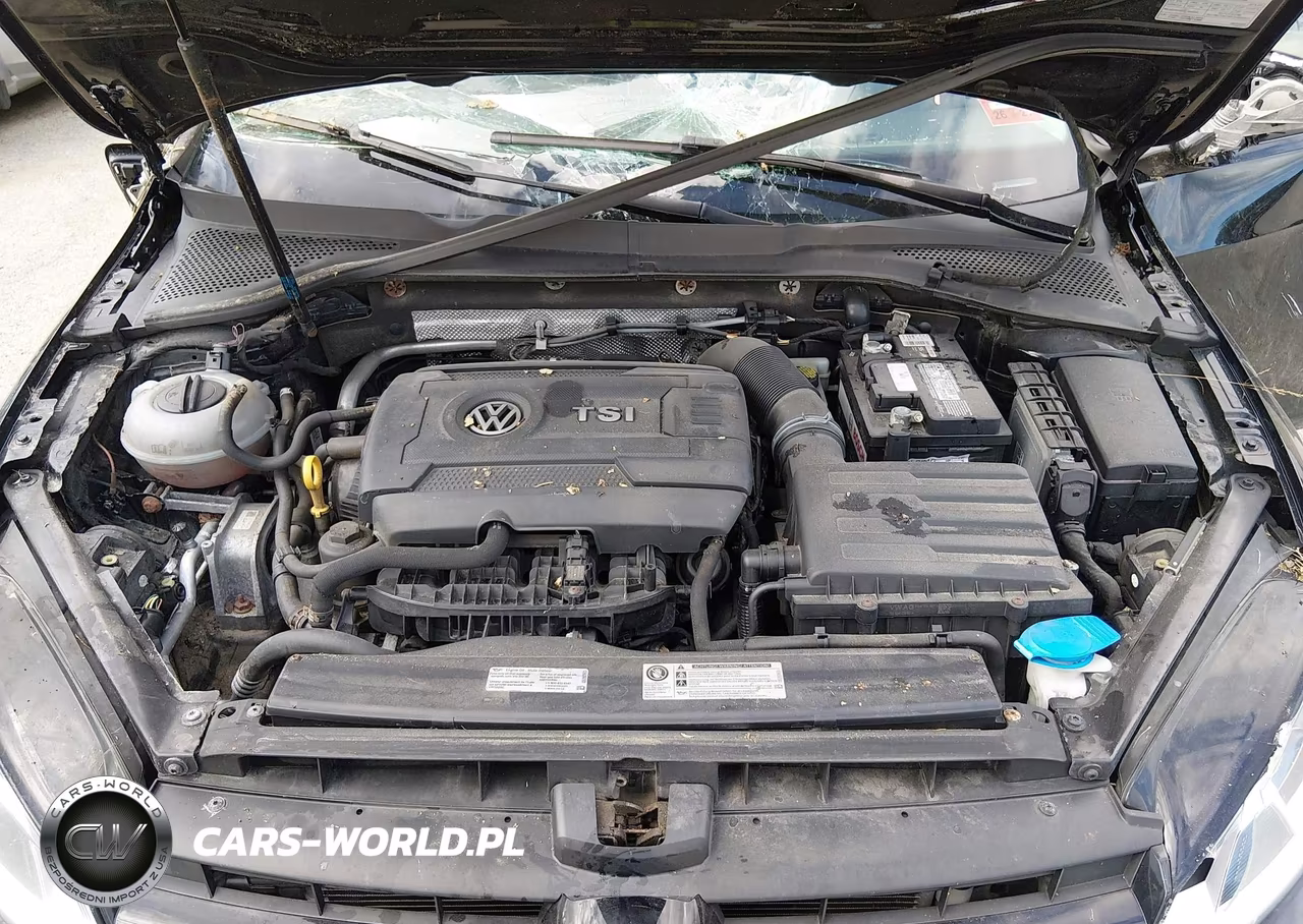 2016 Volkswagen Golf Sportwagen Tsi S 4-Door VIN:3VWC17AU8GM523811 - 10