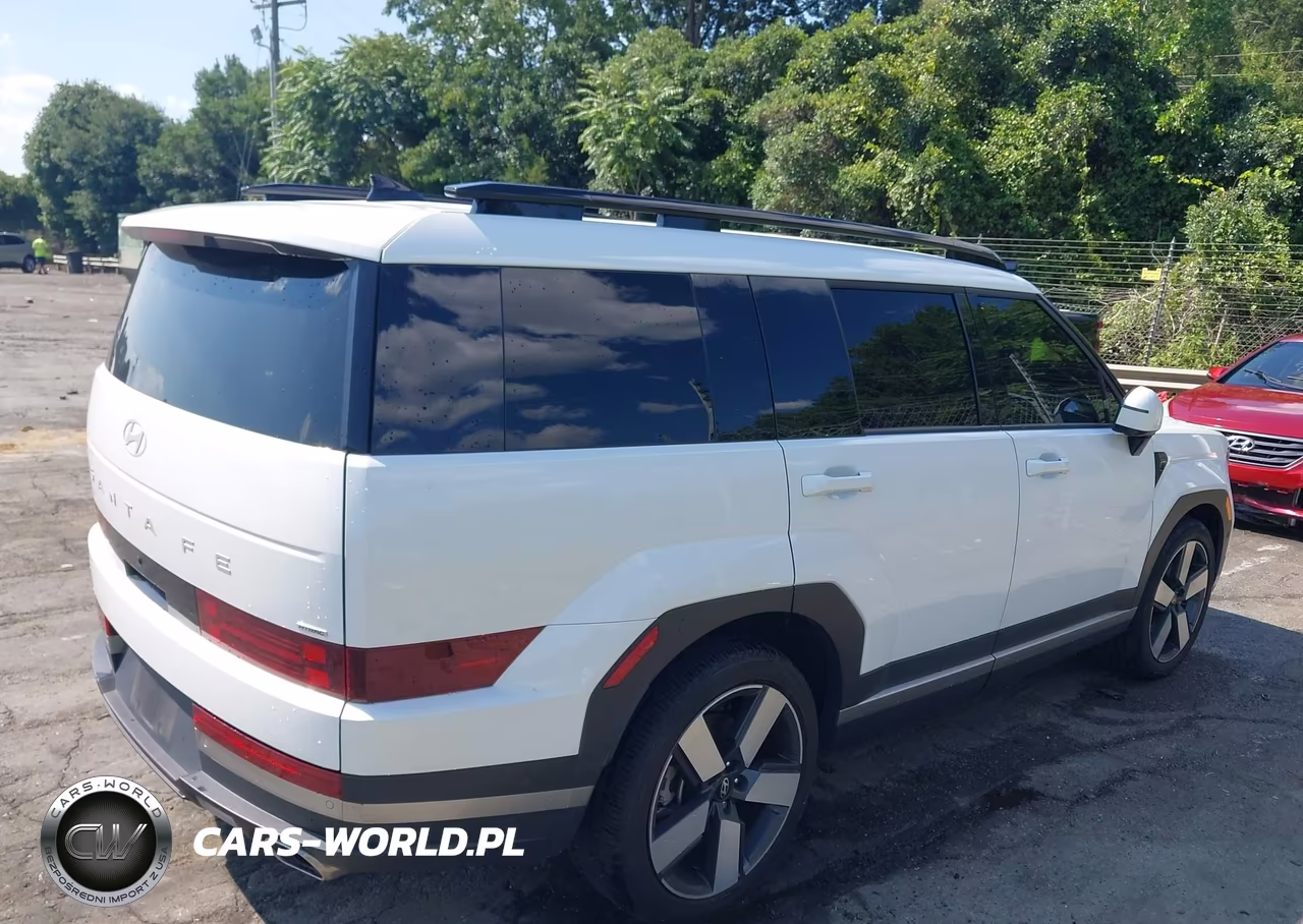 2024 Hyundai Santa Fe Limited VIN:5NMP4DGL5RH009459 - 13
