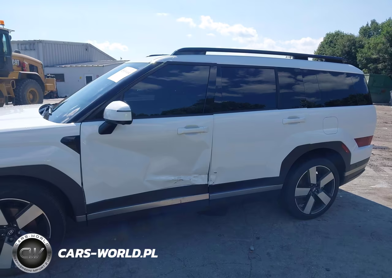 2024 Hyundai Santa Fe Limited VIN:5NMP4DGL5RH009459 - 6