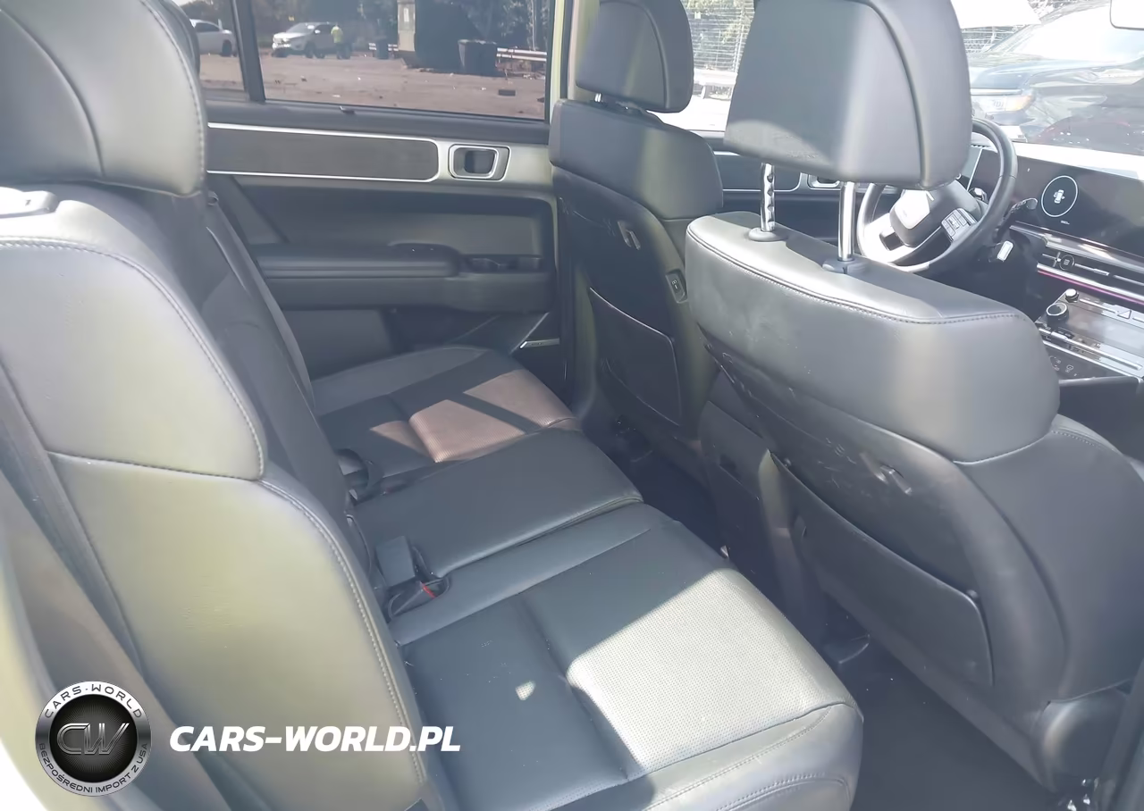 2024 Hyundai Santa Fe Limited VIN:5NMP4DGL5RH009459 - 8