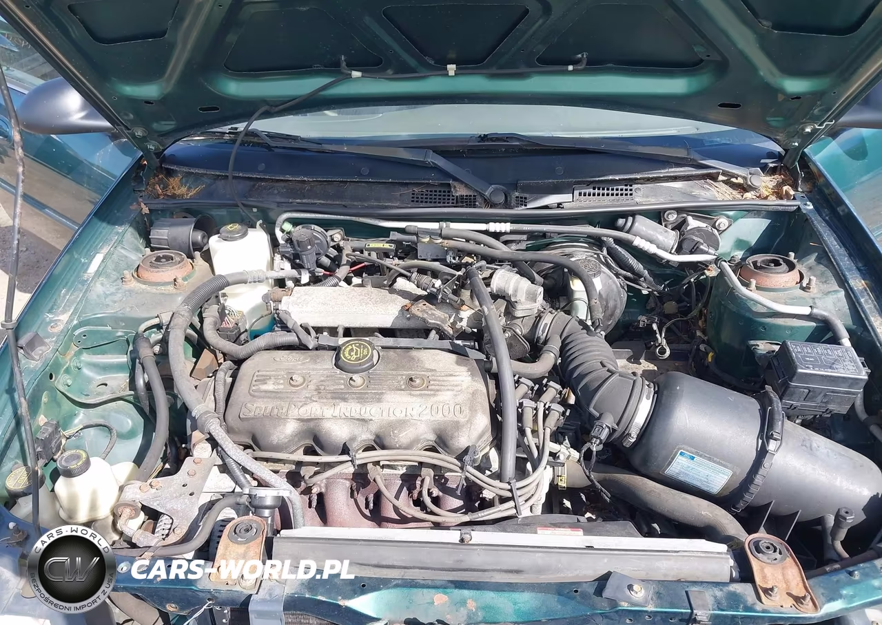 1999 Ford Escort Se VIN:1FAFP13P3XW286783 - 10
